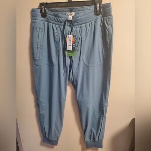 NWT L.L. Bean ankle pant